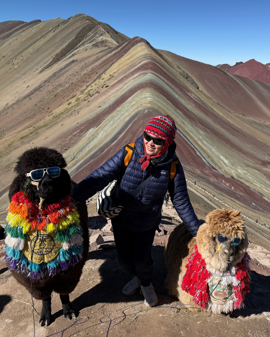 Tourist with two alpacas on Rainbow Mountain