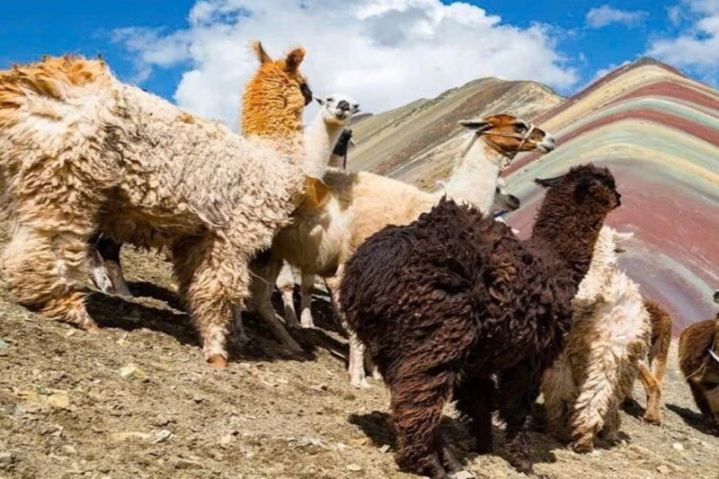 red valley tour